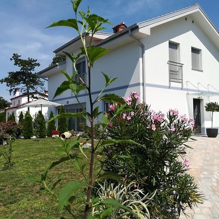 شقة Sežana  في Apartma Majda المظهر الخارجي الصورة